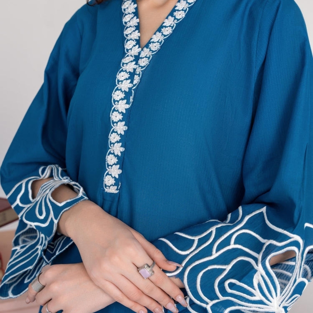 Elegant Blue and White Embroidered Dress - Picture 4 of 6